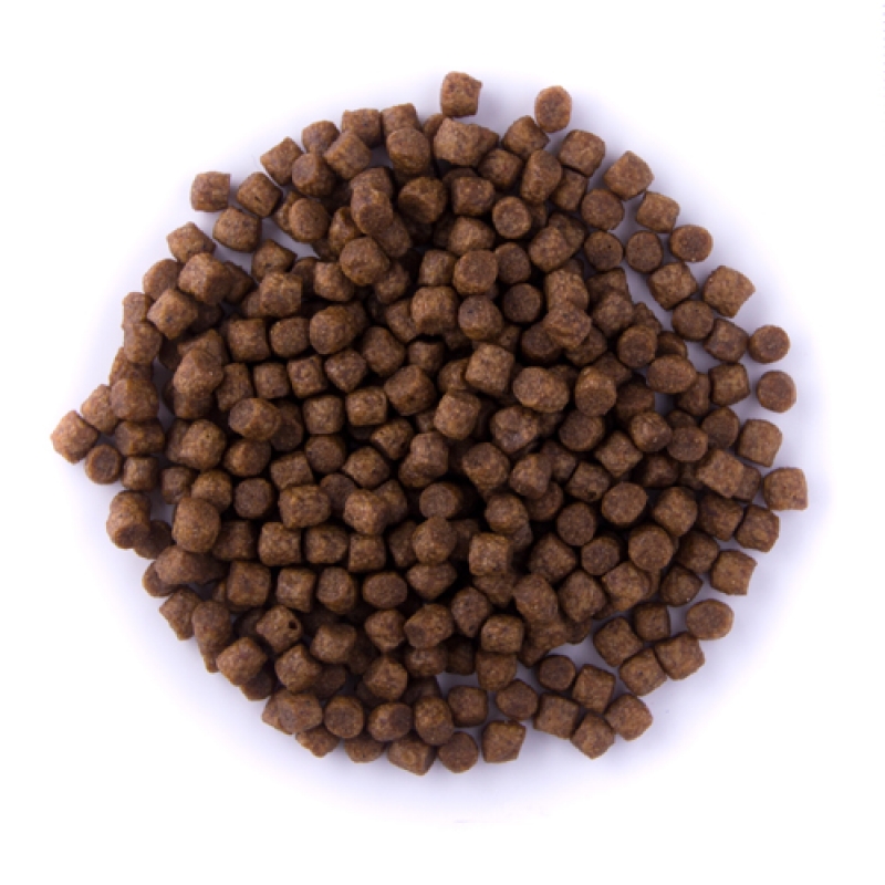 Koi Select Premium Koifutter Pellets